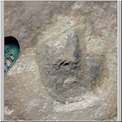 DSC00757 (2011-10-01) mod.jpg